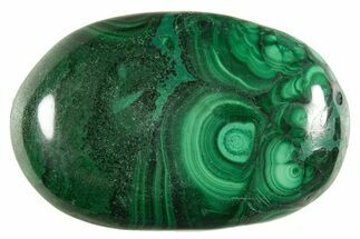 Polished Banded Malachite Palm Stone - DR Congo #321178