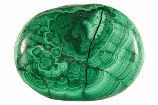 Polished Banded Malachite Palm Stone - DR Congo #321191