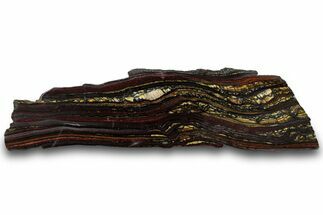 Polished Tiger Iron Stromatolite Slab - Billion Years #319394