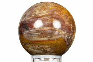 Colorful Petrified Wood (Araucaria) Sphere - Madagascar #323608