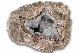 Polished Baker Ranch Thunderegg - New Mexico #323787