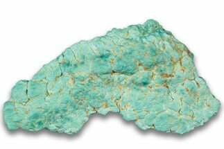 Teal Blue, Chilean Turquoise ( grams) Nugget #323808
