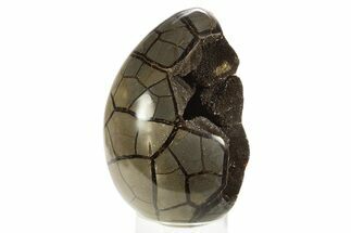Septarian Dragon Egg Geode - Black Crystals #323468