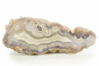 Polished Banded Laguna Agate Section - Mexico #323872