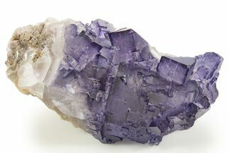Deep Purple Fluorite Crystals - Múzquiz, Mexico #323928