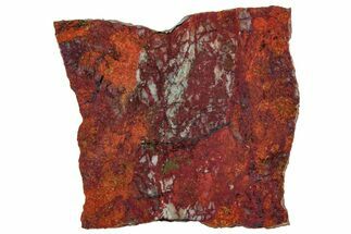 Vibrant Sonora Sunset (Chrysocolla Cuprite) Slab - Mexico #323923