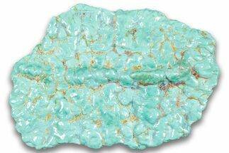 Polished Chilean Turquoise ( grams) Nugget #324099