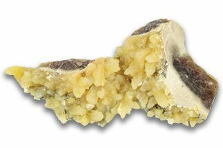 Fluorescent Yellow Calcite Crystal Cluster - South Dakota #323683