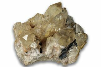 Smoky Citrine Crystal Cluster - Luena, DR Congo #324396