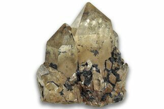 Smoky Citrine Crystal Cluster - Luena, DR Congo #324401