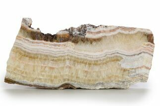 Polished Banded Travertine Slab - New Mexico #324329