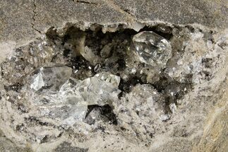 Herkimer Diamonds in Matrix - The Ace of Diamonds Mine, New York #324480