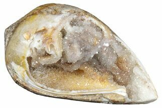 Chalcedony Replaced Gastropod With Sparkly Quartz - India #320807