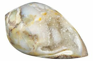 Chalcedony Replaced Gastropod With Sparkly Quartz - India #320812