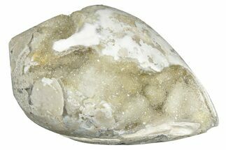 Chalcedony Replaced Gastropod With Sparkly Quartz - India #320843