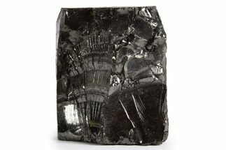 Lustrous, High Grade Shungite - Colombia #324908