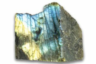 Single Side Polished Labradorite Section - Madagascar #324663