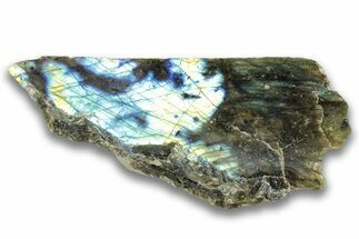 Single Side Polished Labradorite Section - Madagascar #324674