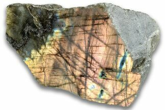 Single Side Polished Labradorite Section - Madagascar #324676