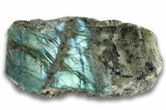 Single Side Polished Labradorite Section - Madagascar #324677