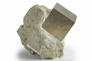 Natural Pyrite Cube In Rock - Navajun, Spain #325003