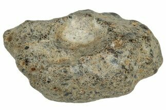 Lunar Meteorite ( g) - NWA #303675