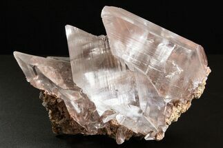 Glassy Selenite Crystal Cluster - Naica Mine, Mexico #325060