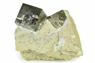 Two Large Natural Pyrite Cube In Rock - Navajun, Spain #325098