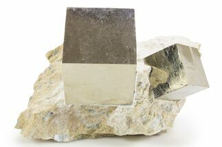 Two Large Natural Pyrite Cube In Rock - Navajun, Spain #325102