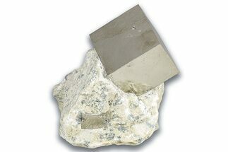 Two Natural Pyrite Cubes In Rock - Navajun, Spain #325009