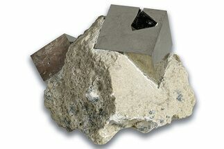 Two Natural Pyrite Cubes In Rock - Navajun, Spain #325014