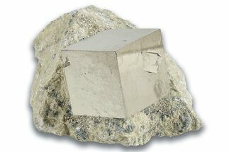Natural Pyrite Cube In Rock - Navajun, Spain #325023