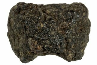 Abadla CM Chondrite Meteorite ( g) - Algeria #313088