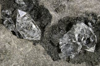 Herkimer Diamonds in Matrix - The Ace of Diamonds Mine, New York #324490