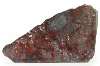 Polished Stromatolite (Collenia) Slab - Minnesota #326046