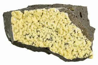 Globular Yellow Calcite Formations on Basalt - Italy #325611