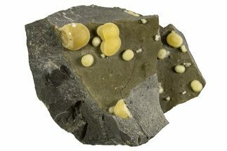 Globular Yellow Calcite Formations on Basalt - Italy #325612