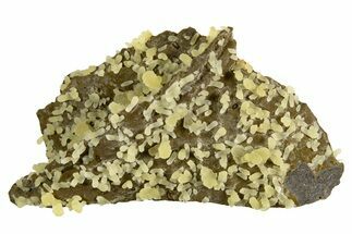 Globular Yellow Calcite Formations on Basalt - Italy #325624
