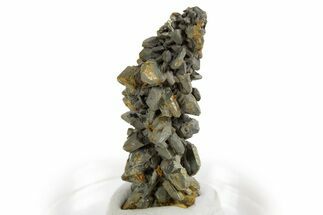 Glistening Marcasite Crystal Stalactite - Linwood Mine, Iowa #326002