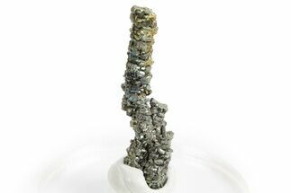 Glistening Marcasite Crystal Stalactite - Linwood Mine, Iowa #326018