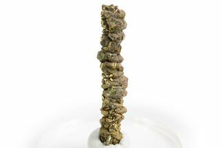 Glistening Marcasite Crystal Stalactite - Linwood Mine, Iowa #326019