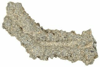 Fulgurite - Petrified Lightning #326099