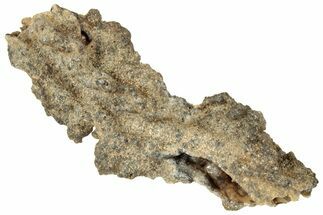 Fulgurite - Petrified Lightning #326110