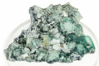 Green Cubic Fluorite Cluster With White Phantoms - Okorusu Mine #326555