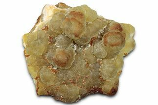 Botryoidal Yellow-Green Fluorite Formation - Fluorescent! #326519