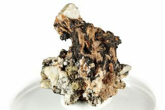 Red-Orange Niobophyllite on Aegirine and Feldspar - Malawi #326658