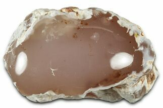 Pink Agate Replaced Petrified Wood Limb Cast - Nevada #326676