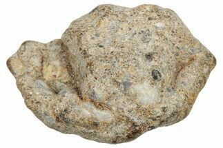 Lunar Meteorite ( g) - NWA #304734