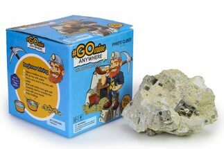 Natural Spain Cubic Pyrite Crystal Mining Kit #326852