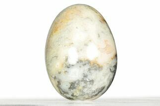 Polished Crazy Lace Agate Egg - Mexico #326816
